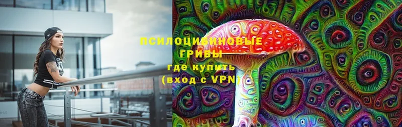 MEGA ТОР  Железногорск-Илимский  Псилоцибиновые грибы Psilocybine cubensis 